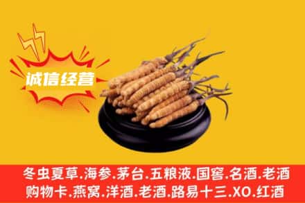 南宫市回收冬虫夏草